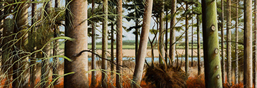 LouisSMcNally Woods teaser