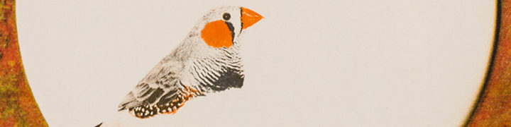 Downside protection illustration