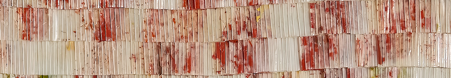 BannerV3 SophieHopkinson UntitledRed